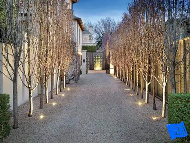 approach avenue of trees and lights approach avenue of trees and lights