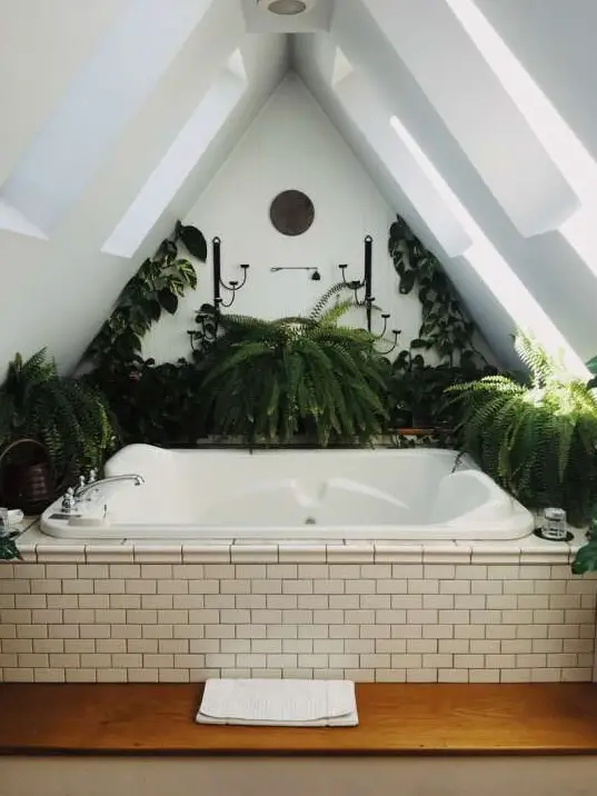 biophilic bath
