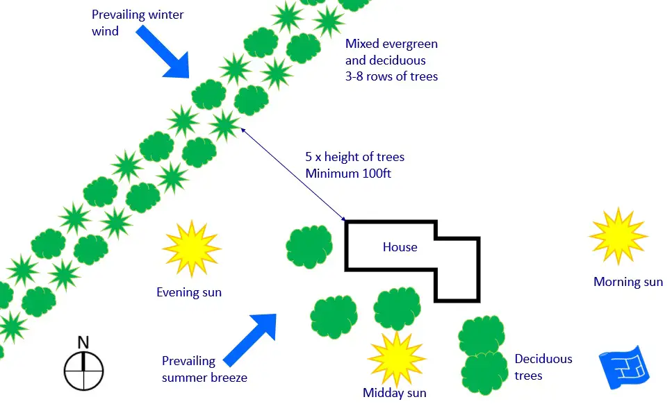 orientation sun and wind.  Creating a windbreak.